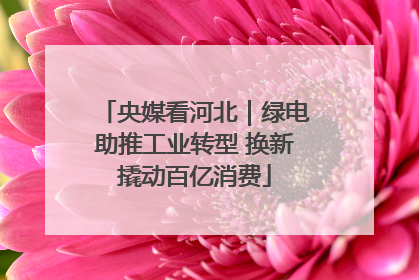央媒看河北｜绿电助推工业转型 换新撬动百亿消费
