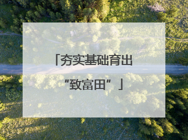 夯实基础育出“致富田”