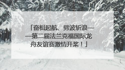 奋楫起航、劈波斩浪——第二届法兰克福国际龙舟友谊赛激情开桨！