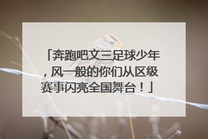 奔跑吧文三足球少年，风一般的你们从区级赛事闪亮全国舞台！