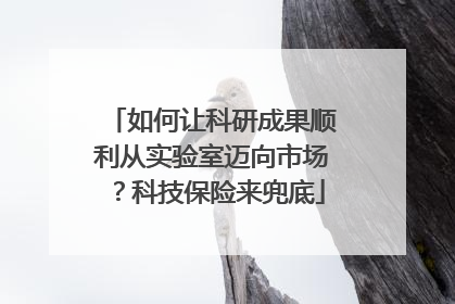 如何让科研成果顺利从实验室迈向市场？科技保险来兜底