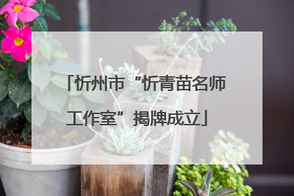忻州市“忻青苗名师工作室”揭牌成立