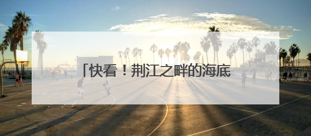 快看！荆江之畔的海底星空 你去打卡了吗？