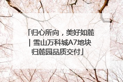归心所向，美好如麓｜雪山万科城A7地块归麓园品质交付