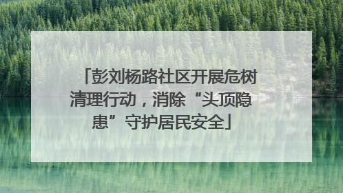 彭刘杨路社区开展危树清理行动，消除“头顶隐患”守护居民安全