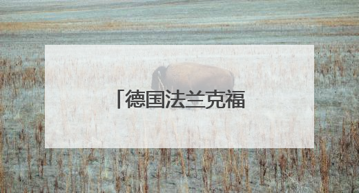 德国法兰克福国际龙舟赛展示多元文化魅力