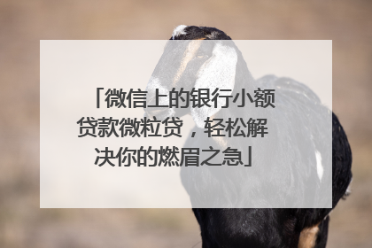 微信上的银行小额贷款微粒贷，轻松解决你的燃眉之急