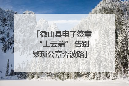 微山县电子签章“上云端” 告别繁琐公章奔波路
