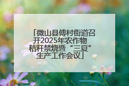 微山县傅村街道召开2025年农作物秸秆禁烧暨“三夏”生产工作会议