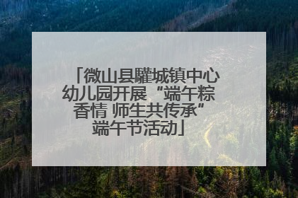 微山县驩城镇中心幼儿园开展“端午粽香情 师生共传承”端午节活动