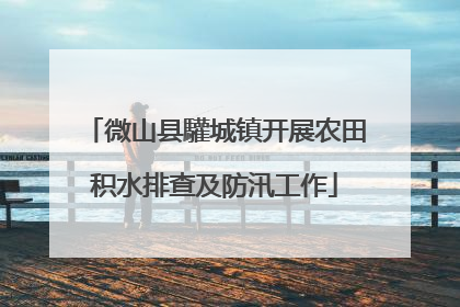 微山县驩城镇开展农田积水排查及防汛工作