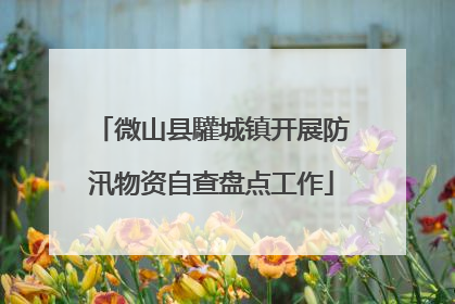 微山县驩城镇开展防汛物资自查盘点工作