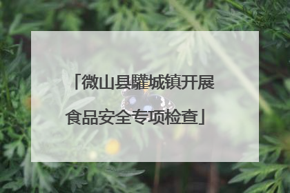 微山县驩城镇开展食品安全专项检查