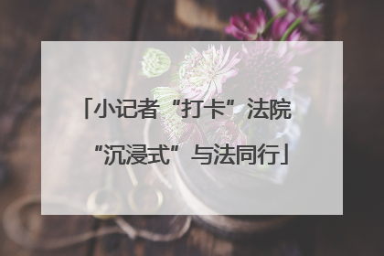 小记者“打卡”法院 “沉浸式”与法同行