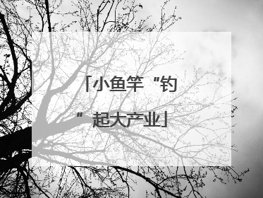 小鱼竿“钓”起大产业