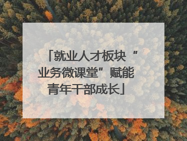 就业人才板块“业务微课堂”赋能青年干部成长