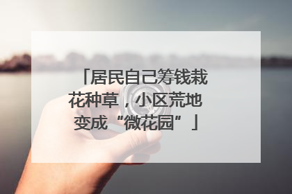 居民自己筹钱栽花种草，小区荒地变成“微花园”