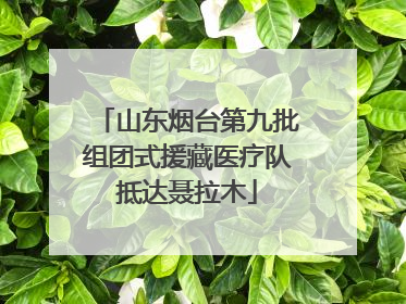 山东烟台第九批组团式援藏医疗队抵达聂拉木