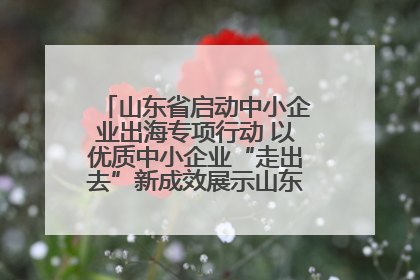 山东省启动中小企业出海专项行动 以优质中小企业“走出去”新成效展示山东产业发展新形象