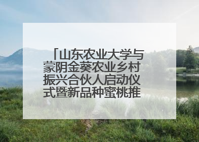 山东农业大学与蒙阴金葵农业乡村振兴合伙人启动仪式暨新品种蜜桃推介活动举行