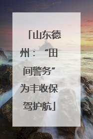 山东德州：“田间警务”为丰收保驾护航