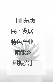 山东惠民：发展特色产业 赋能乡村振兴