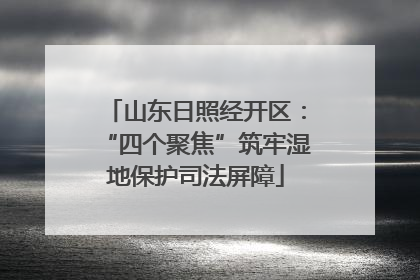 山东日照经开区：“四个聚焦”筑牢湿地保护司法屏障