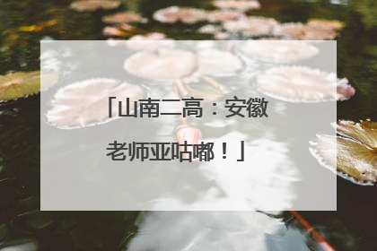 山南二高：安徽老师亚咕嘟！