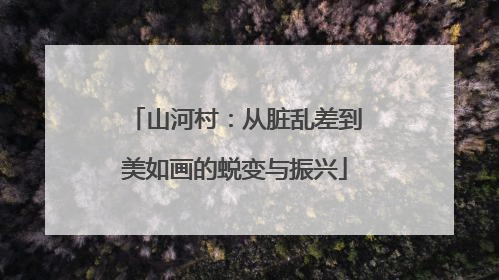 山河村：从脏乱差到美如画的蜕变与振兴
