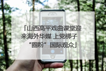 山西高平戏曲课堂迎来海外华媒 上党梆子“圈粉”国际观众