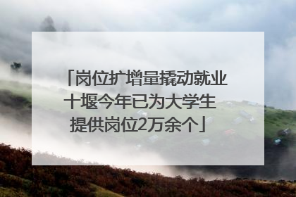 岗位扩增量撬动就业 十堰今年已为大学生提供岗位2万余个