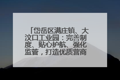 岱岳区满庄镇、大汶口工业园：完善制度、贴心护航、强化监管，打造优质营商“强磁场”
