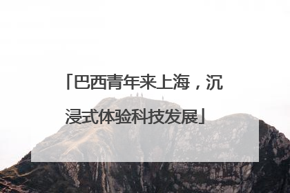 巴西青年来上海，沉浸式体验科技发展