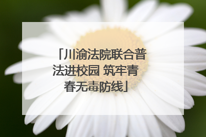川渝法院联合普法进校园 筑牢青春无毒防线