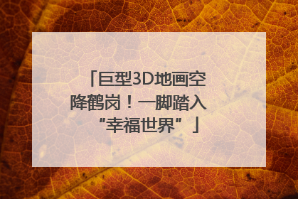 巨型3D地画空降鹤岗！一脚踏入“幸福世界”