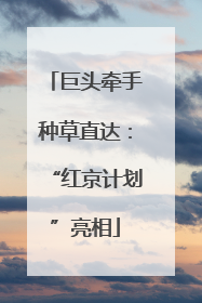 巨头牵手种草直达：“红京计划”亮相
