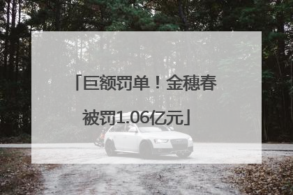 巨额罚单！金穗春被罚1.06亿元