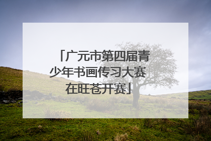 广元市第四届青少年书画传习大赛在旺苍开赛