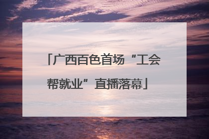 广西百色首场“工会帮就业”直播落幕