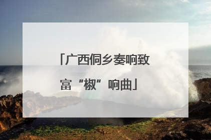 广西侗乡奏响致富“椒”响曲
