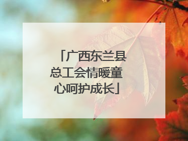 广西东兰县总工会情暖童心呵护成长