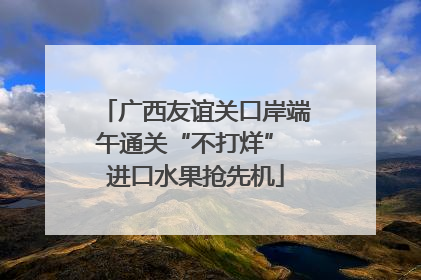 广西友谊关口岸端午通关“不打烊” 进口水果抢先机