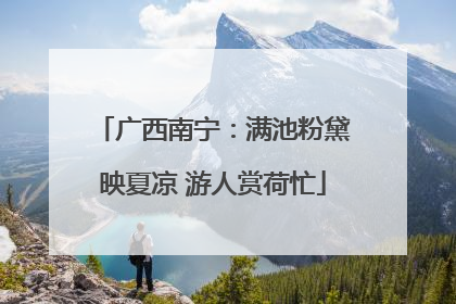 广西南宁：满池粉黛映夏凉 游人赏荷忙