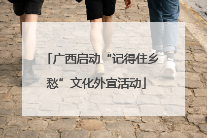 广西启动“记得住乡愁”文化外宣活动