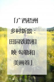 广西梧州乡村新景：田园铁路相映 勾勒和美画卷