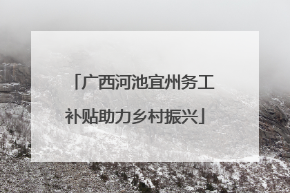广西河池宜州务工补贴助力乡村振兴