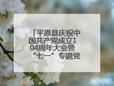平原县庆祝中国共产党成立104周年大会暨“七一”专题党课报告会召开