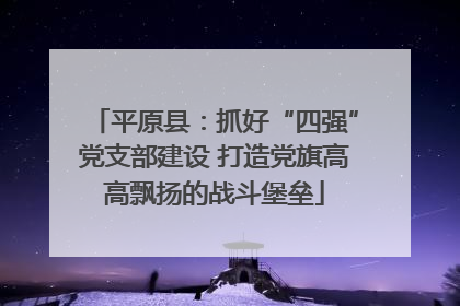 平原县：抓好“四强”党支部建设 打造党旗高高飘扬的战斗堡垒