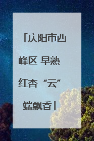 庆阳市西峰区 早熟红杏“云”端飘香