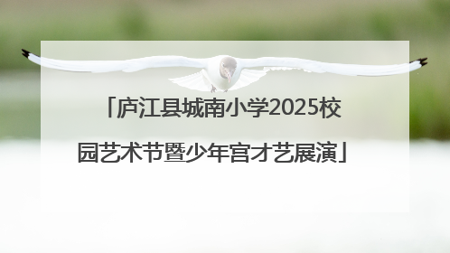 庐江县城南小学2025校园艺术节暨少年宫才艺展演